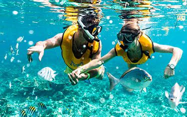 🚀 Aventura Combinada en Cancún: Tirolesa y Expedición en Buggy Todoterreno