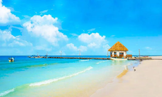 Holbox Plus: Aventura Ecoturística en el Paraíso