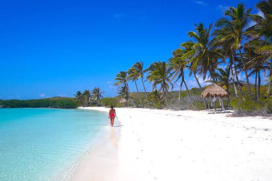 Isla Contoy: Aventura Ecológica en el Caribe Mexicano