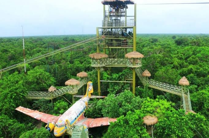 Selvatica Extreme Canopy