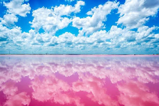 Las Coloradas